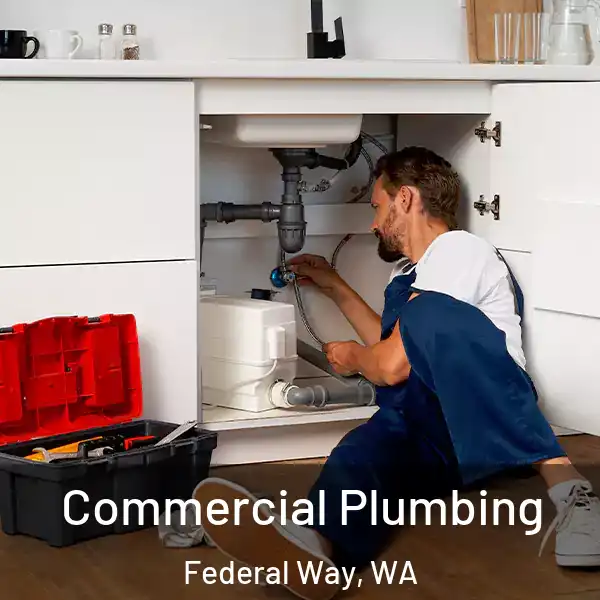  Commercial Plumbing Federal Way, WA