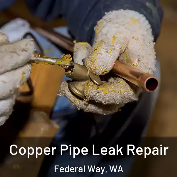  Copper Pipe Leak Repair Federal Way, WA