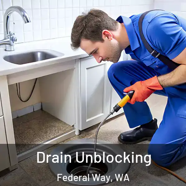  Drain Unblocking Federal Way, WA