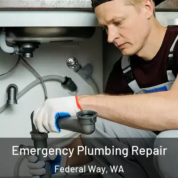  Emergency Plumbing Repair Federal Way, WA