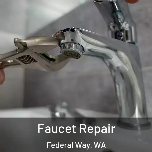  Faucet Repair Federal Way, WA