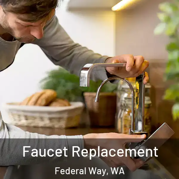  Faucet Replacement Federal Way, WA