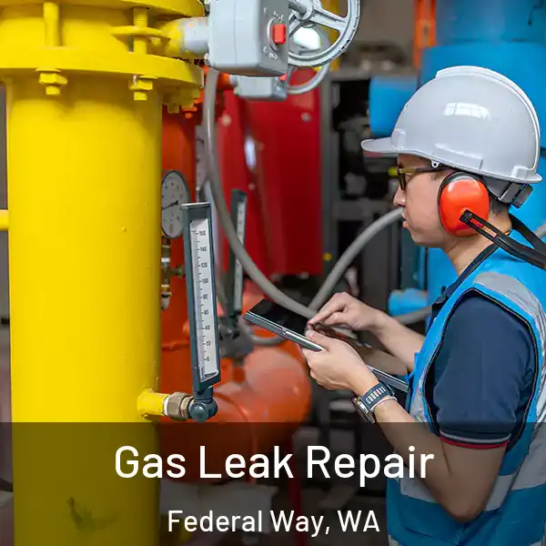  Gas Leak Repair Federal Way, WA