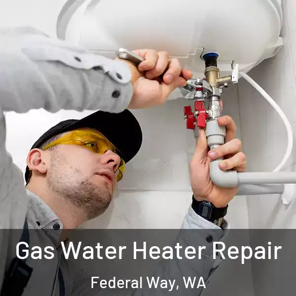  Gas Water Heater Repair Federal Way, WA