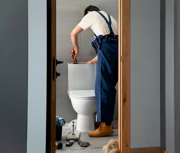 Professional Plumbers for Toilet Bowl Replacement in Federal Way, WA: Schedule Affordable Toilet Replacement Services With Us