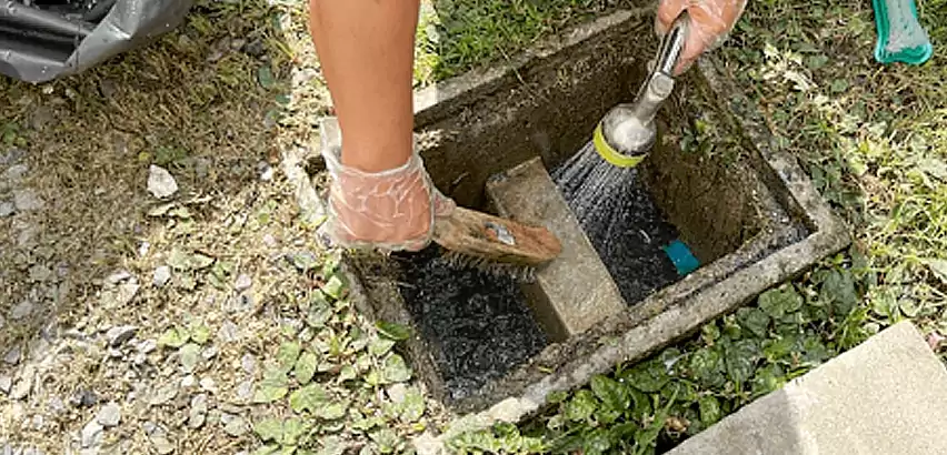 Professional Grease Trap Cleaning Services in Federal Way, WA