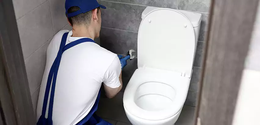 Toilet Lid Replacement in Federal Way