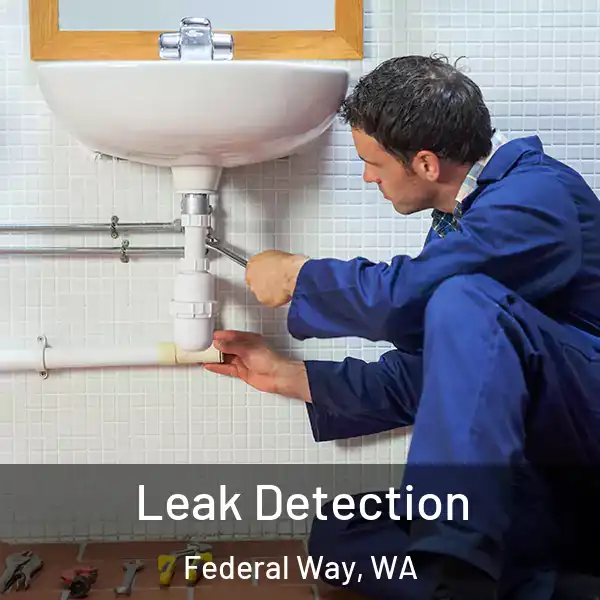  Leak Detection Federal Way, WA