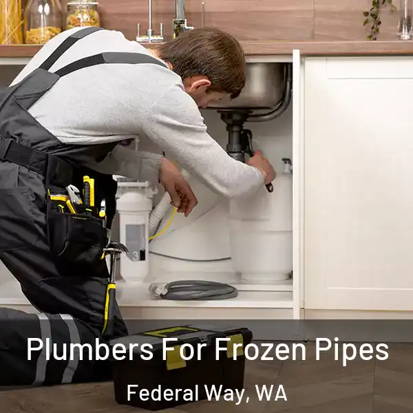  Plumbers For Frozen Pipes Federal Way, WA