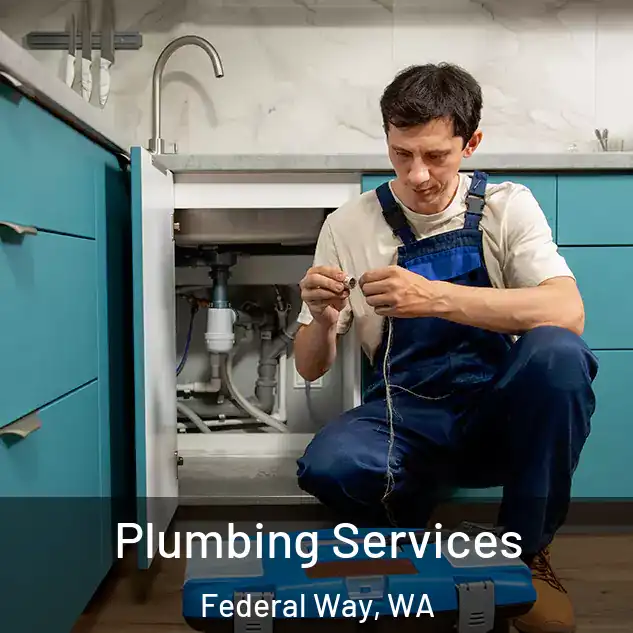  Plumbing Services Federal Way, WA