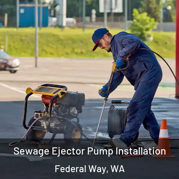  Sewage Ejector Pump Installation Federal Way, WA