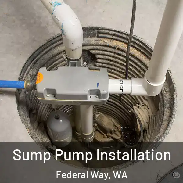  Sump Pump Installation Federal Way, WA