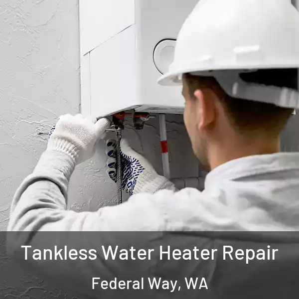  Tankless Water Heater Repair Federal Way, WA