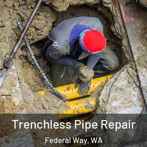  Trenchless Pipe Repair Federal Way, WA