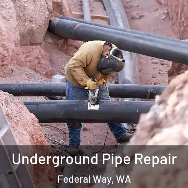  Underground Pipe Repair Federal Way, WA