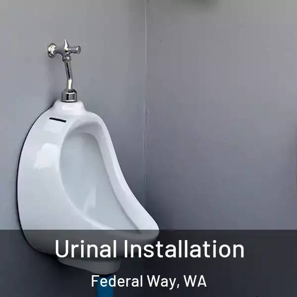  Urinal Installation Federal Way, WA