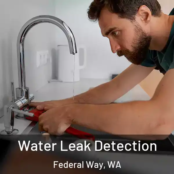  Water Leak Detection Federal Way, WA