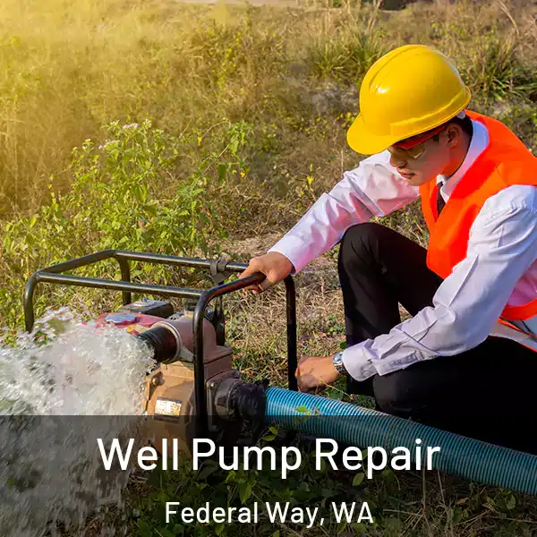  Well Pump Repair Federal Way, WA