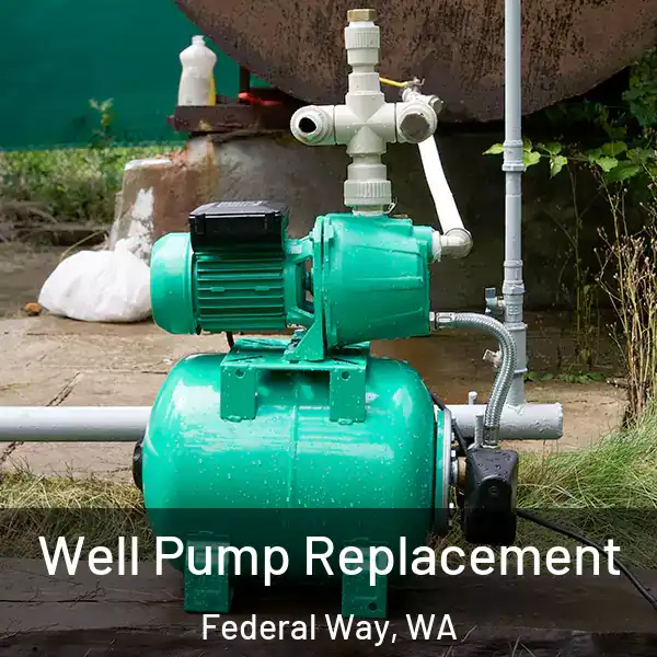  Well Pump Replacement Federal Way, WA